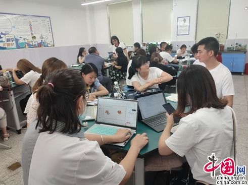 成都武侯区全面启动教师信息技术应用能力提升工程，赋能教育现代化与区域人才发展